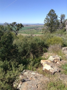 View from Gunnedah