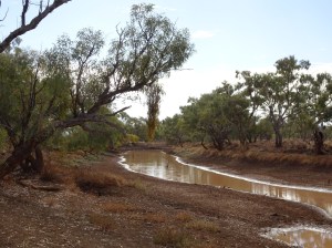 Waltzing Matilda billabong