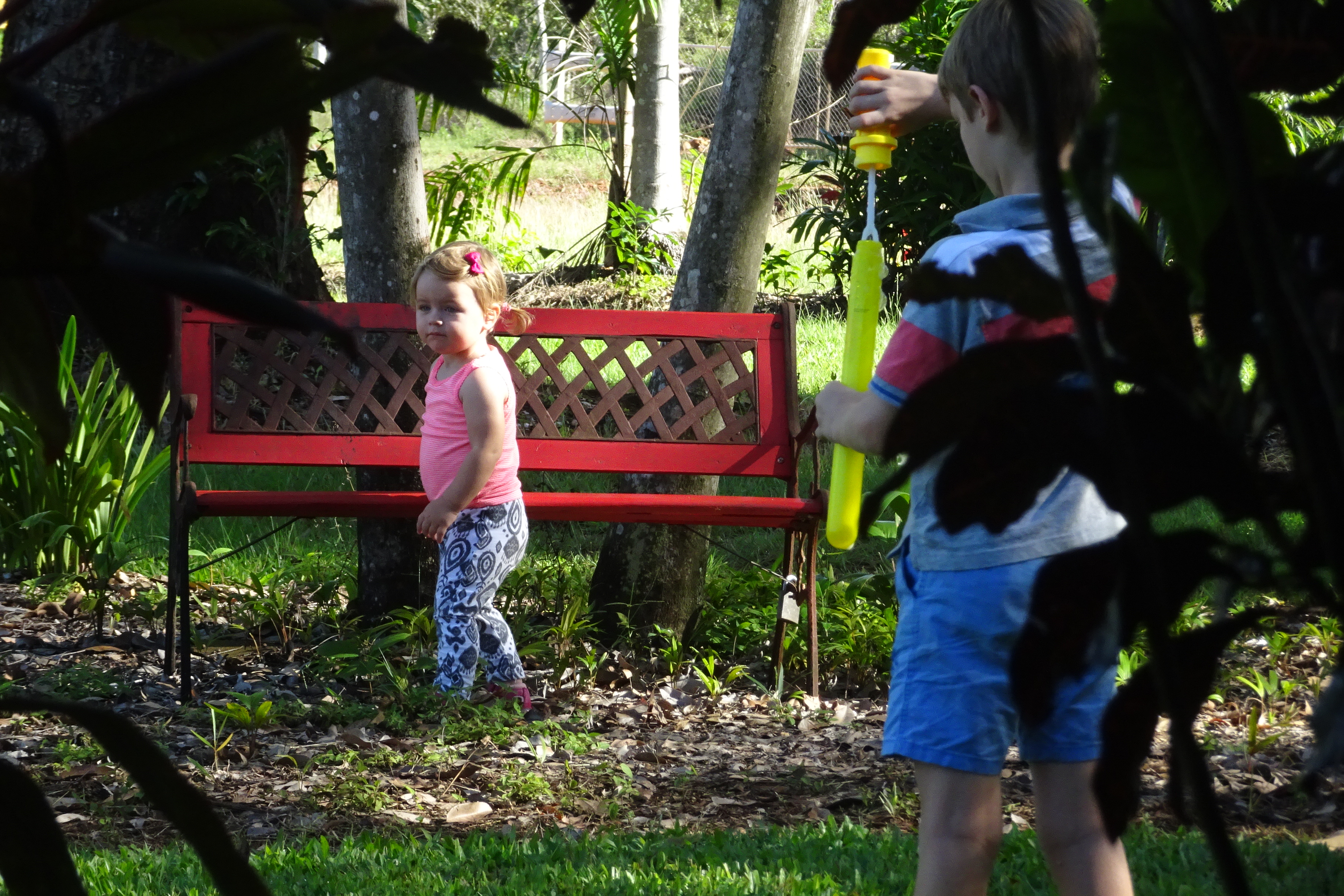 Brian's 70th - homestead garden 2.4 (2)