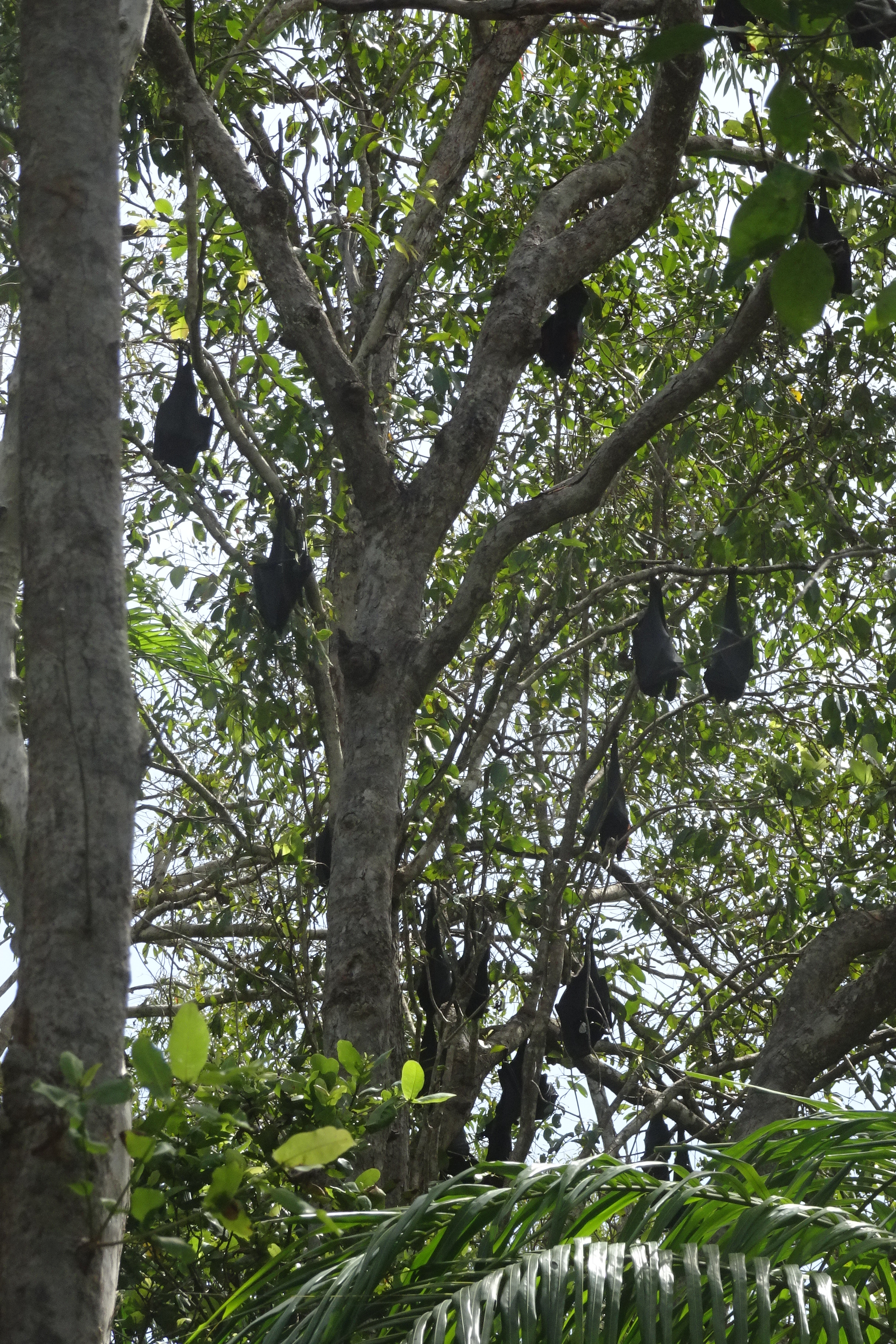 Brian's 70th Wangi Falls 2.4 (60)