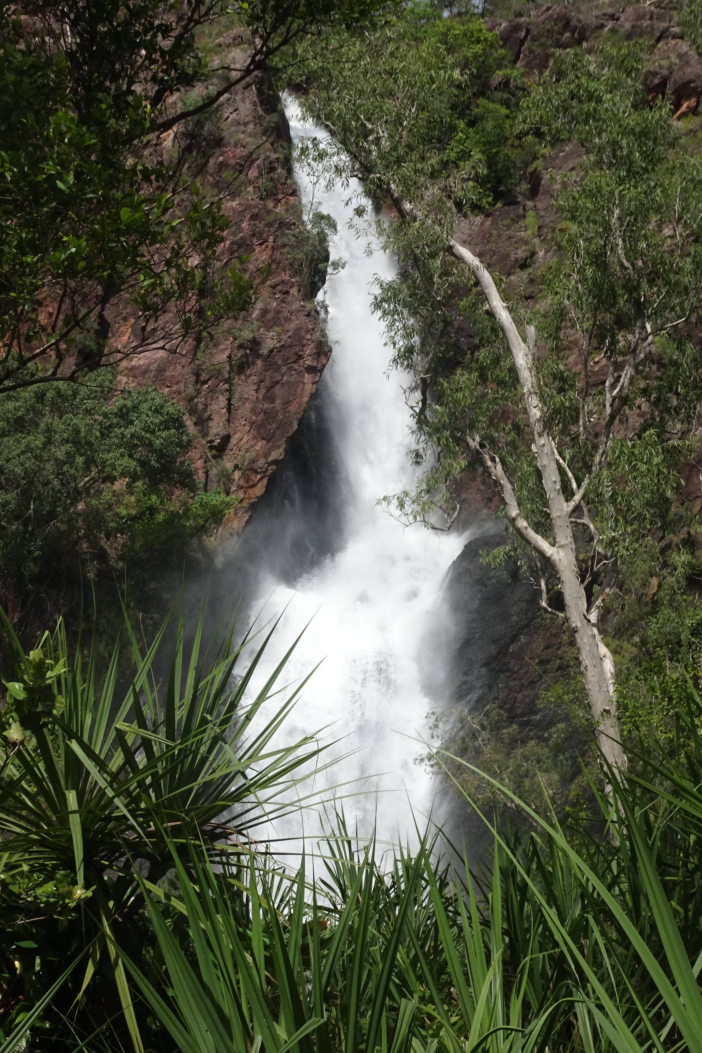 Brian's 70th Wangi Falls 2.4 (68)