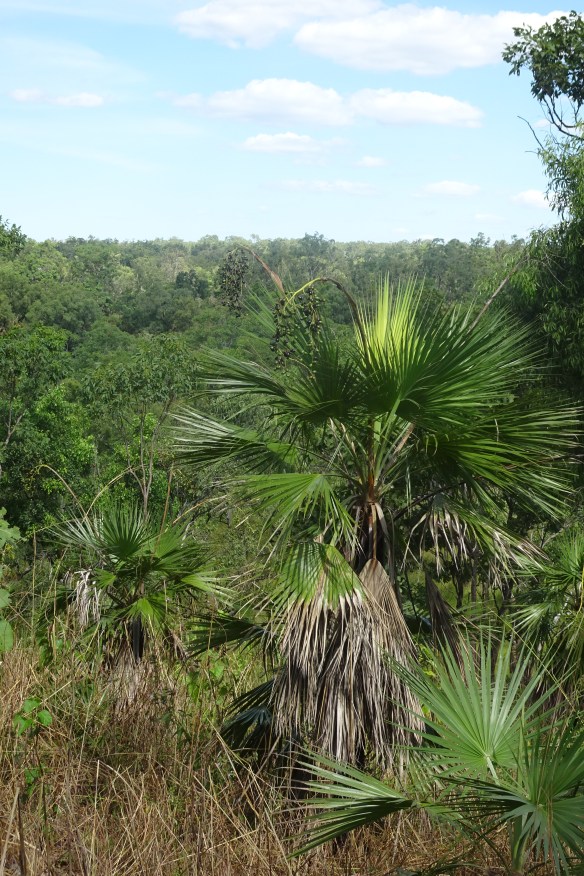 Bukbukluk Lookout (11)