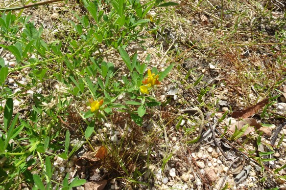 Bukbukluk Lookout (5)