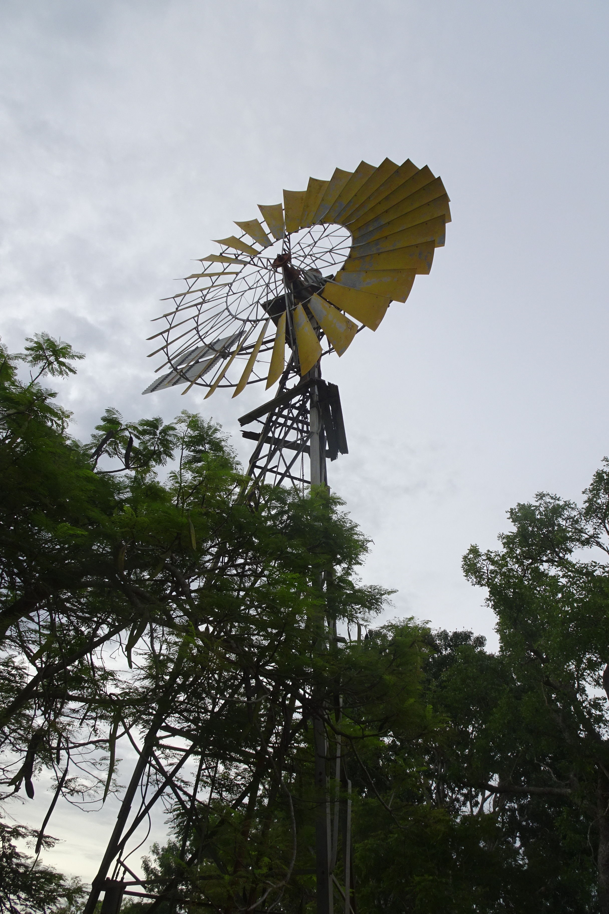 The Homestead, Litchfield TP 1.4 (9)