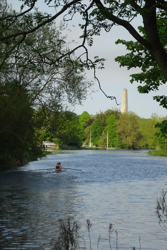 Liffey walk 18.05.18 (10)