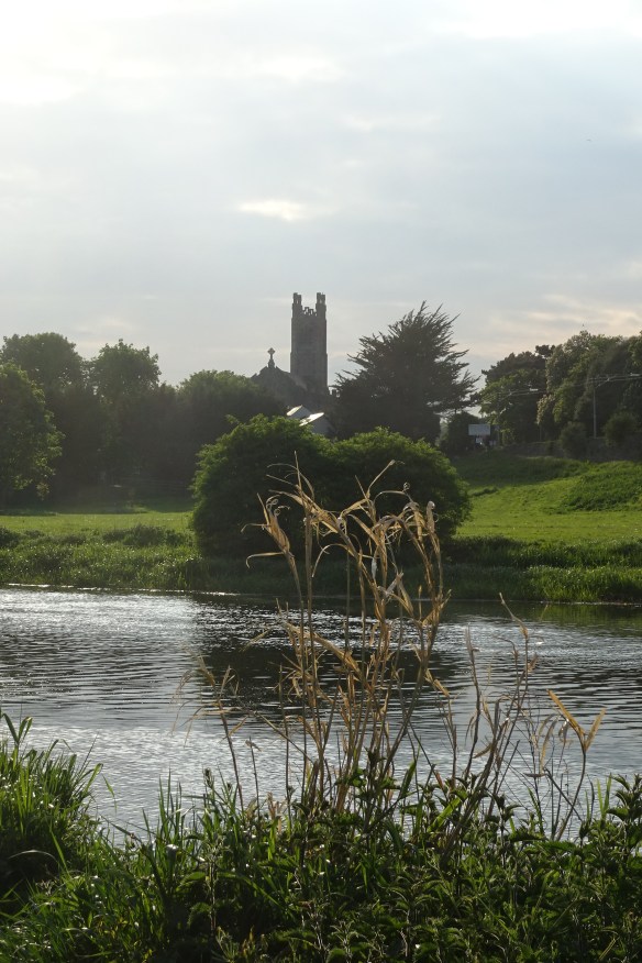 Liffey walk 18.05.18 (16)